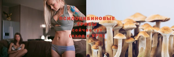 spice Абдулино